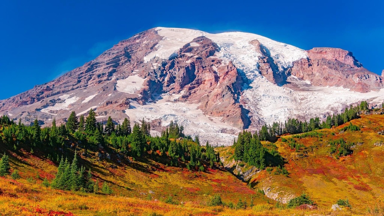 Photo of Others in Ashford