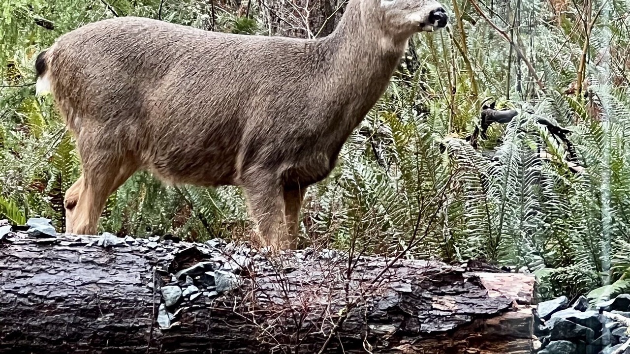 Photo of Others in Ashford