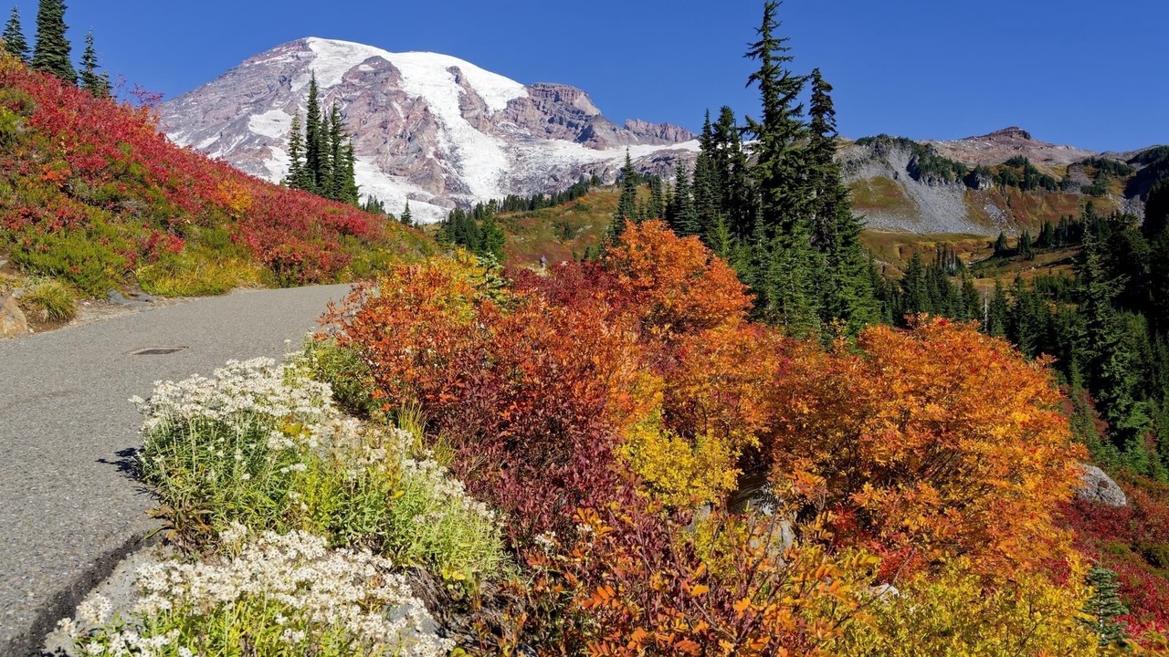 Photo of Others in Ashford