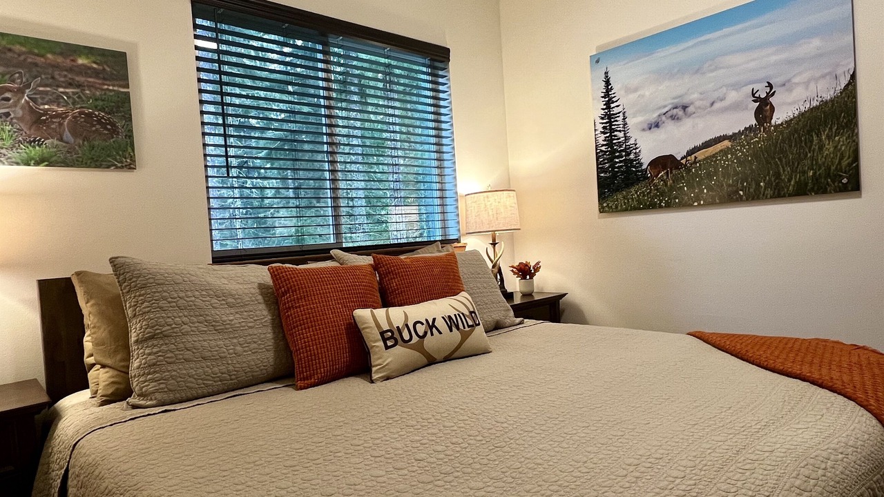 Photo of Bedroom in Ashford