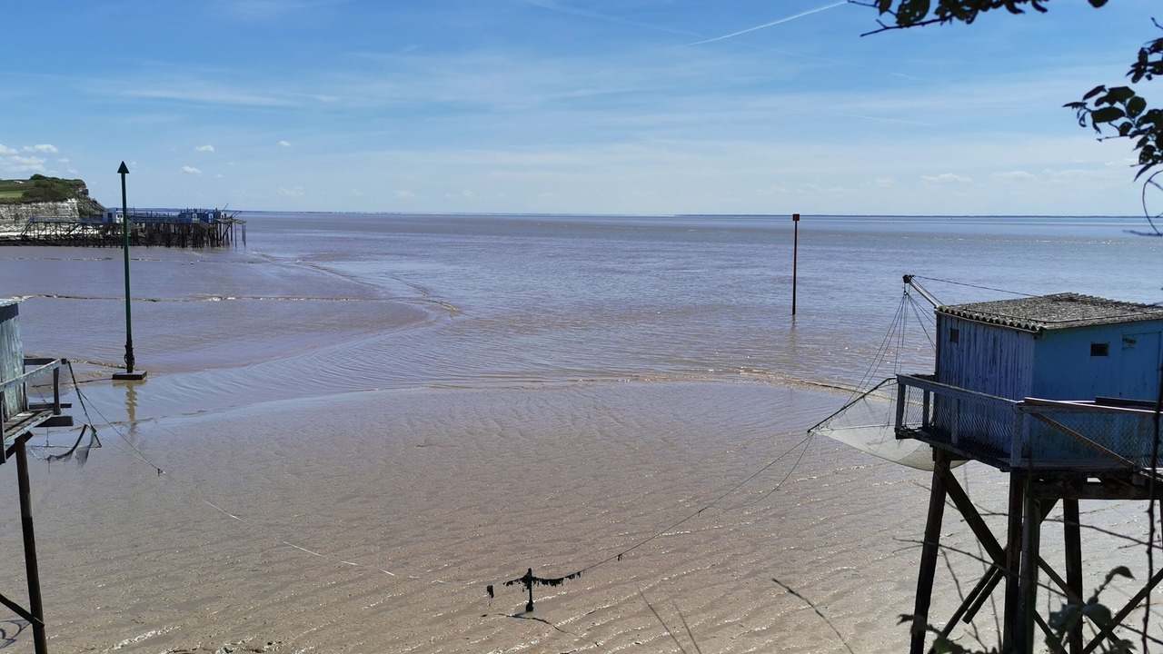 Photo of Others in Les Mathes