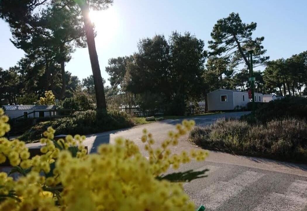 Photo of Outdoor in Les Mathes