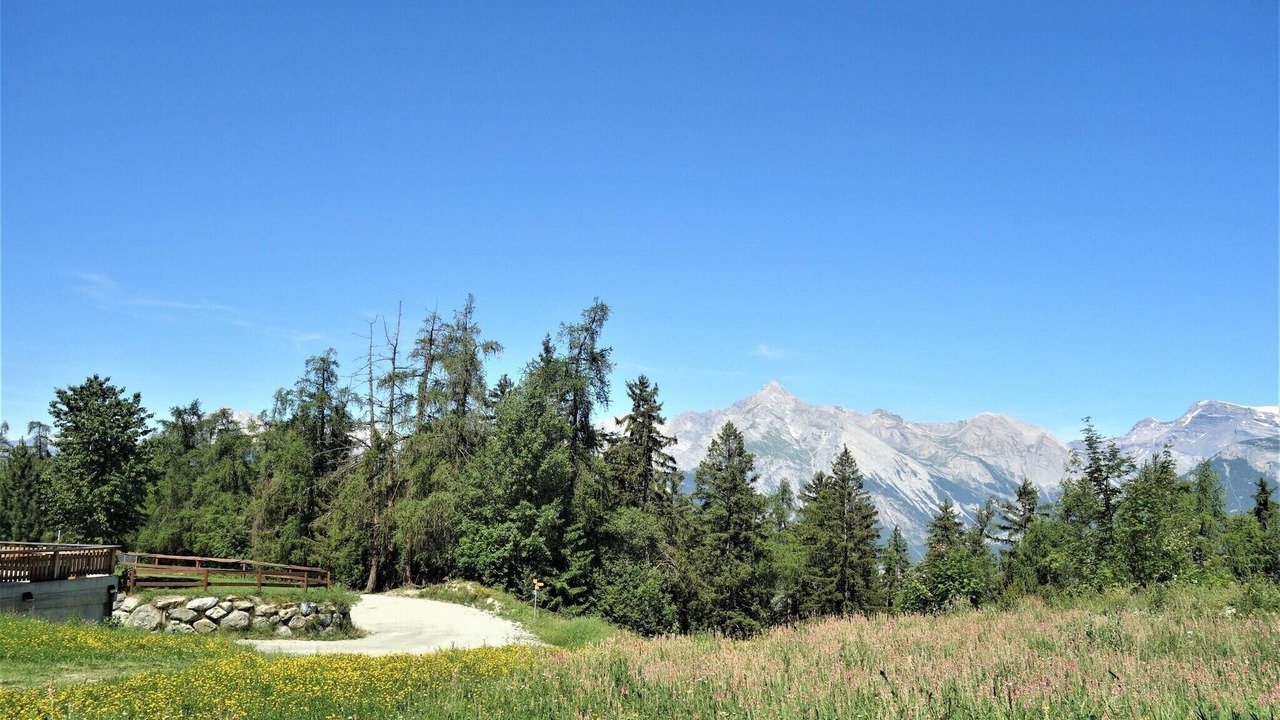 Photo of Others in Veysonnaz