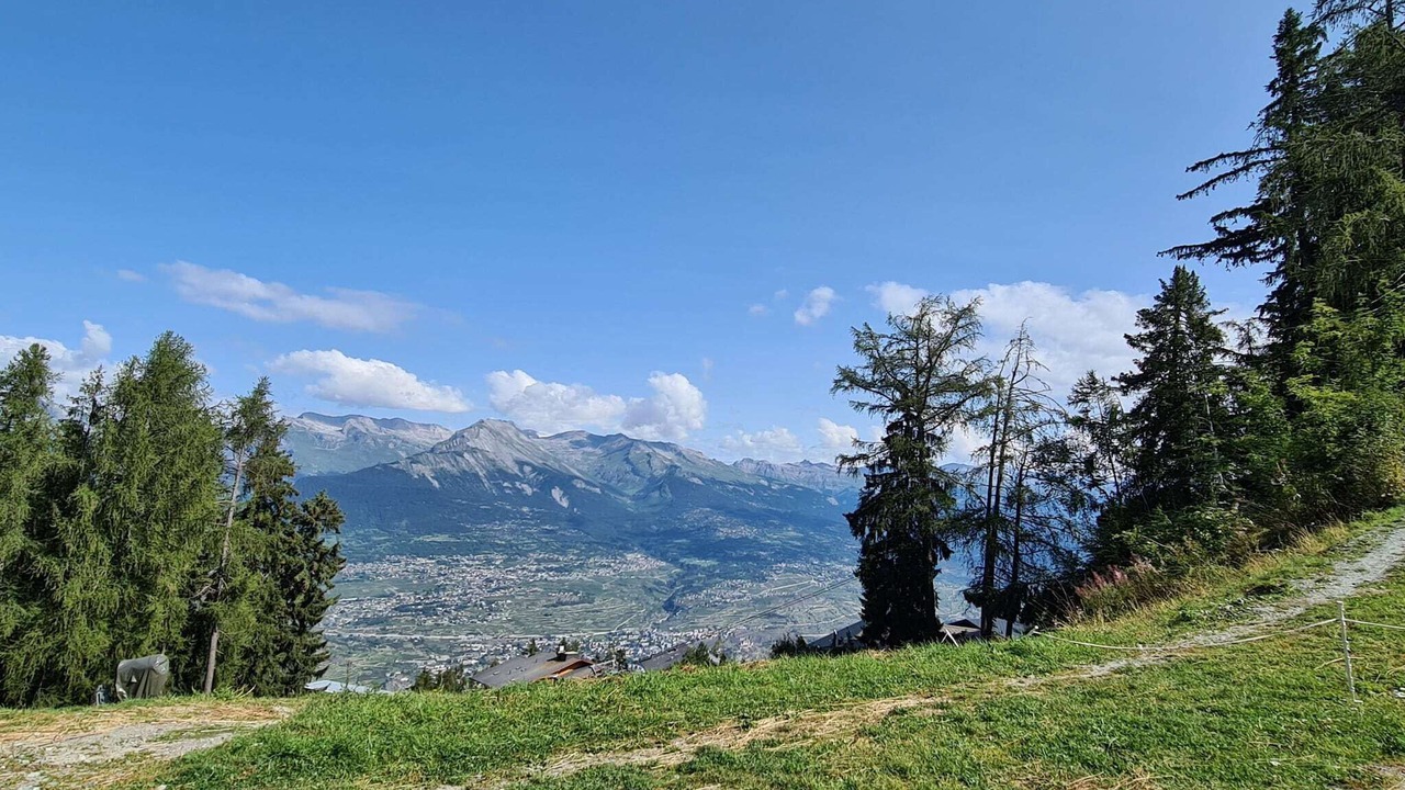 Photo of Others in Sion