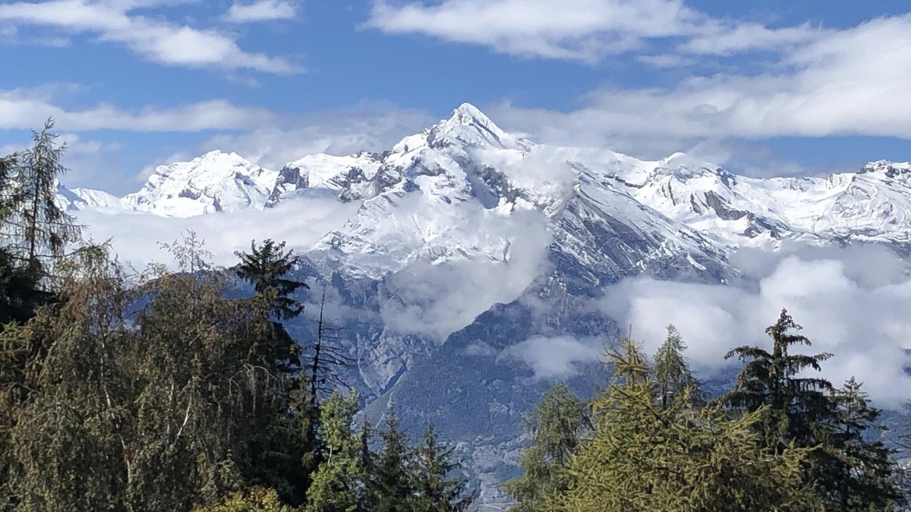 Photo of Others in Sion