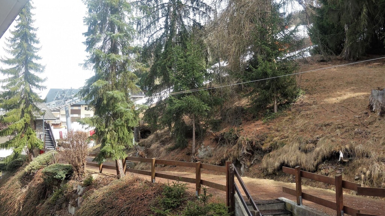 Photo of Others in Sion