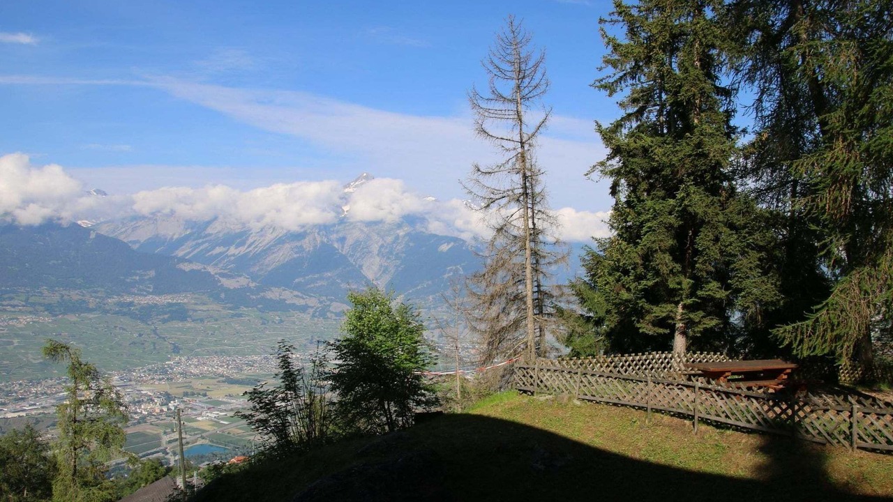 Photo of Others in Sion