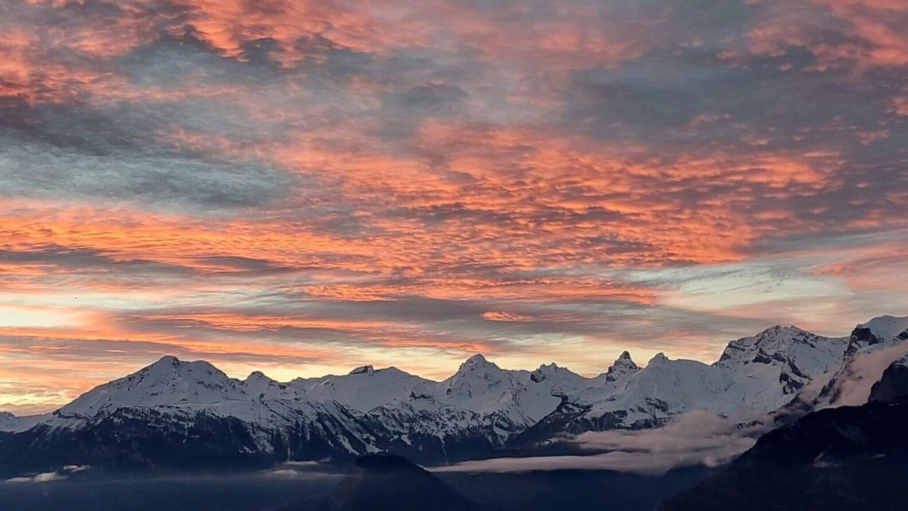 Photo of Others in Sion