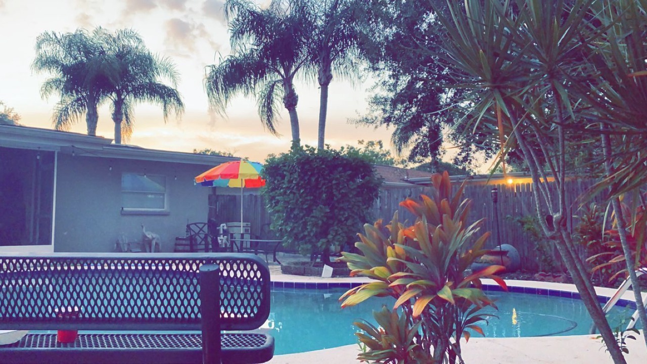 Photo of Outdoor in Oldsmar