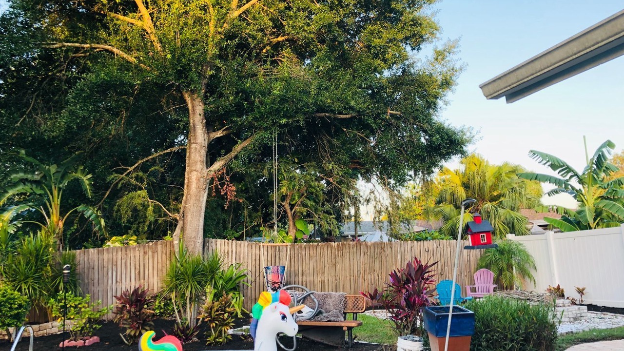 Photo of Outdoor in Oldsmar