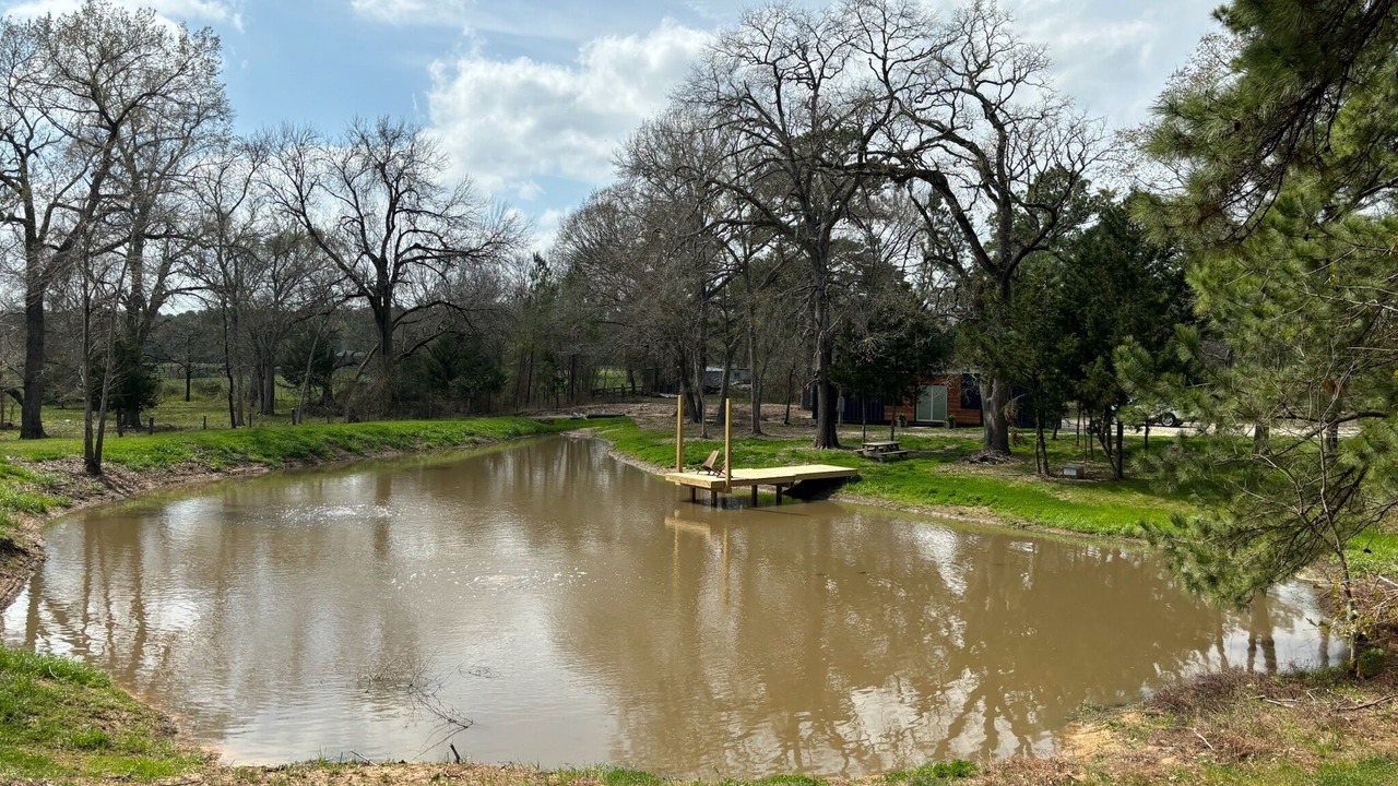 Photo of Others in Conroe