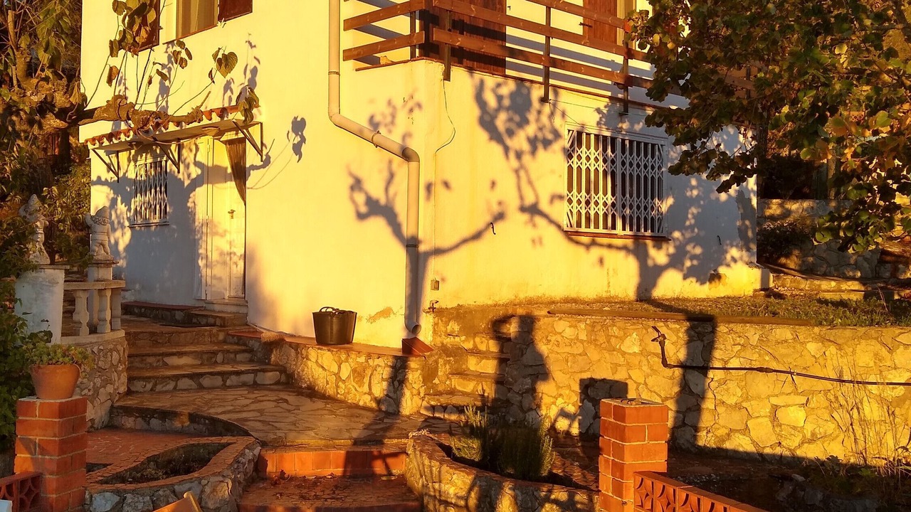 Photo of Outdoor in El Montmell