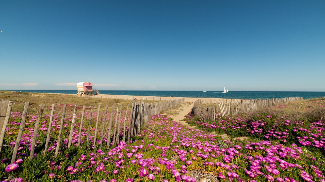 Photo of Others in Leucate