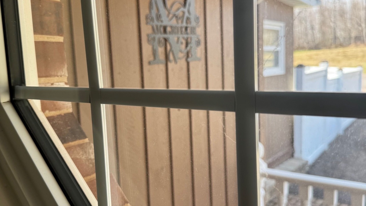 Photo of Others in Mayfield