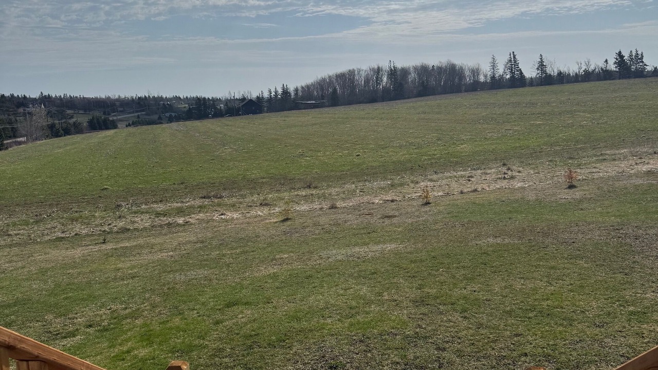 Photo of Others in Mayfield