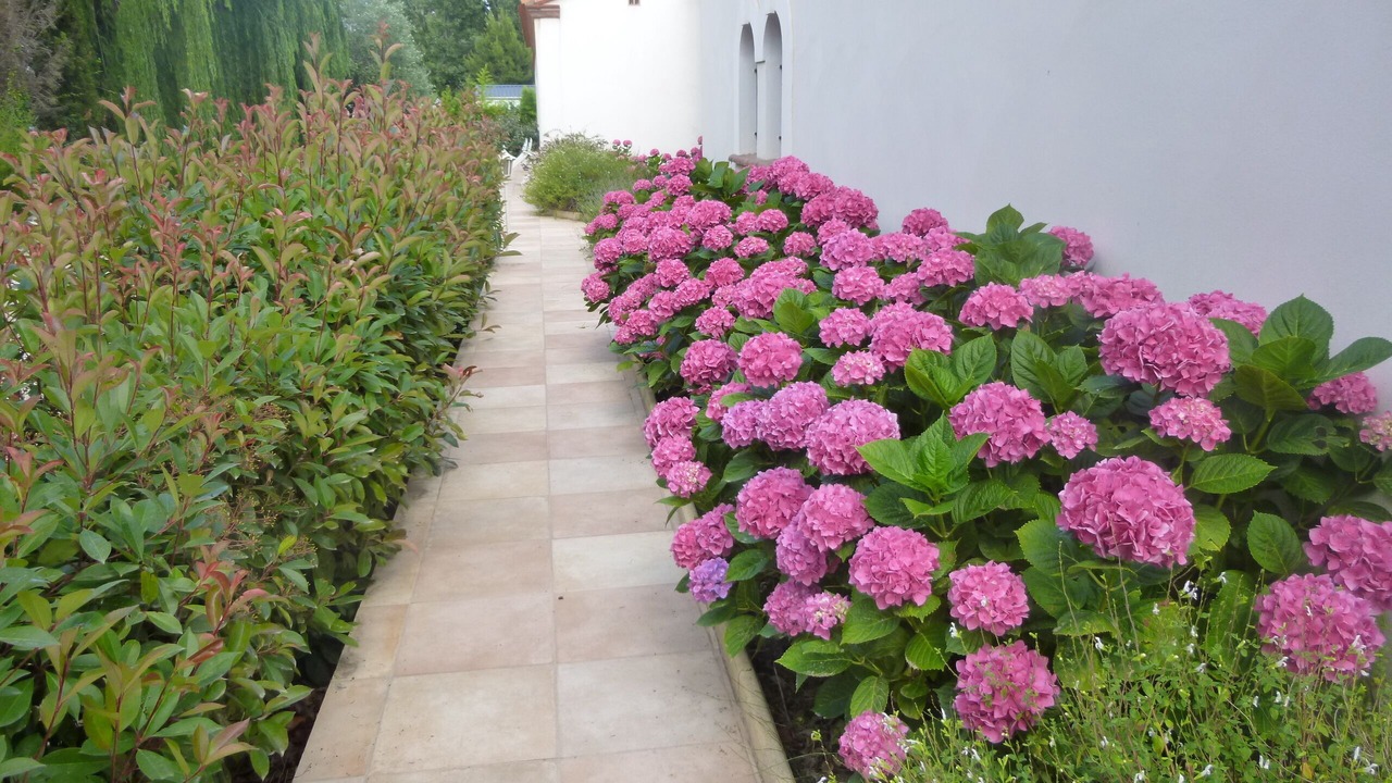 Photo of Outdoor in Argeles-sur-Mer