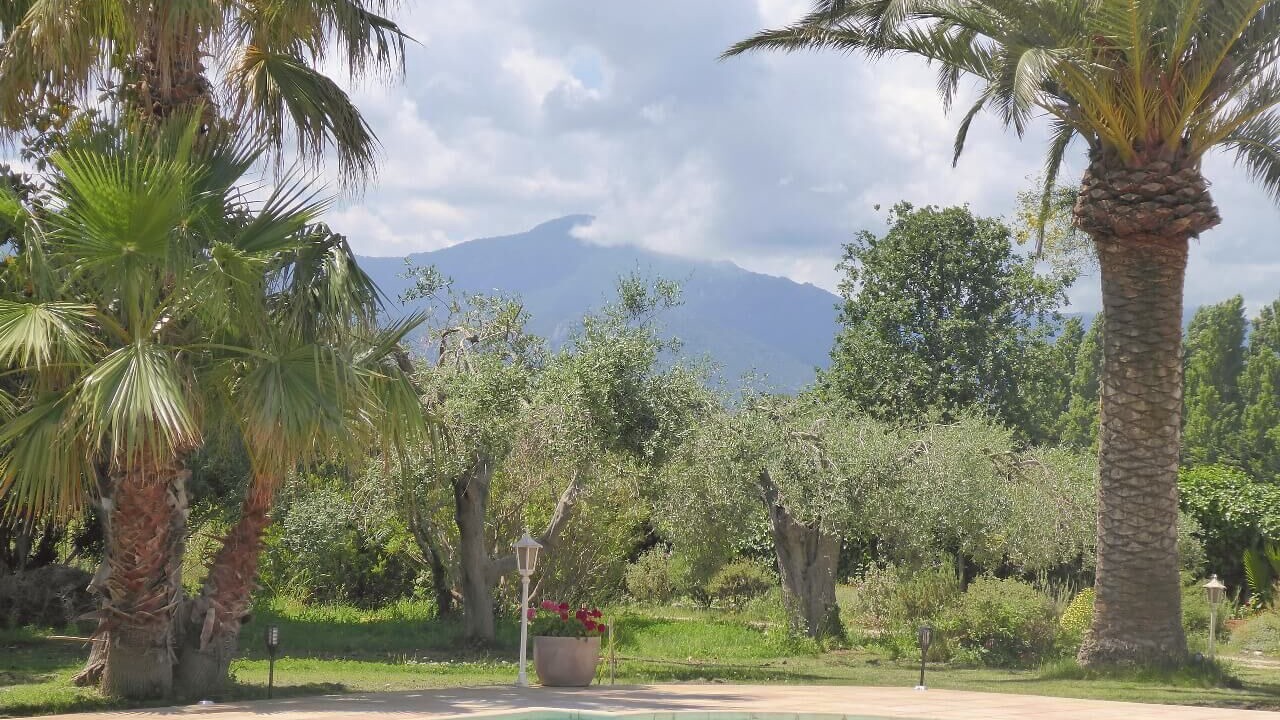 Photo of Outdoor in Argeles-sur-Mer