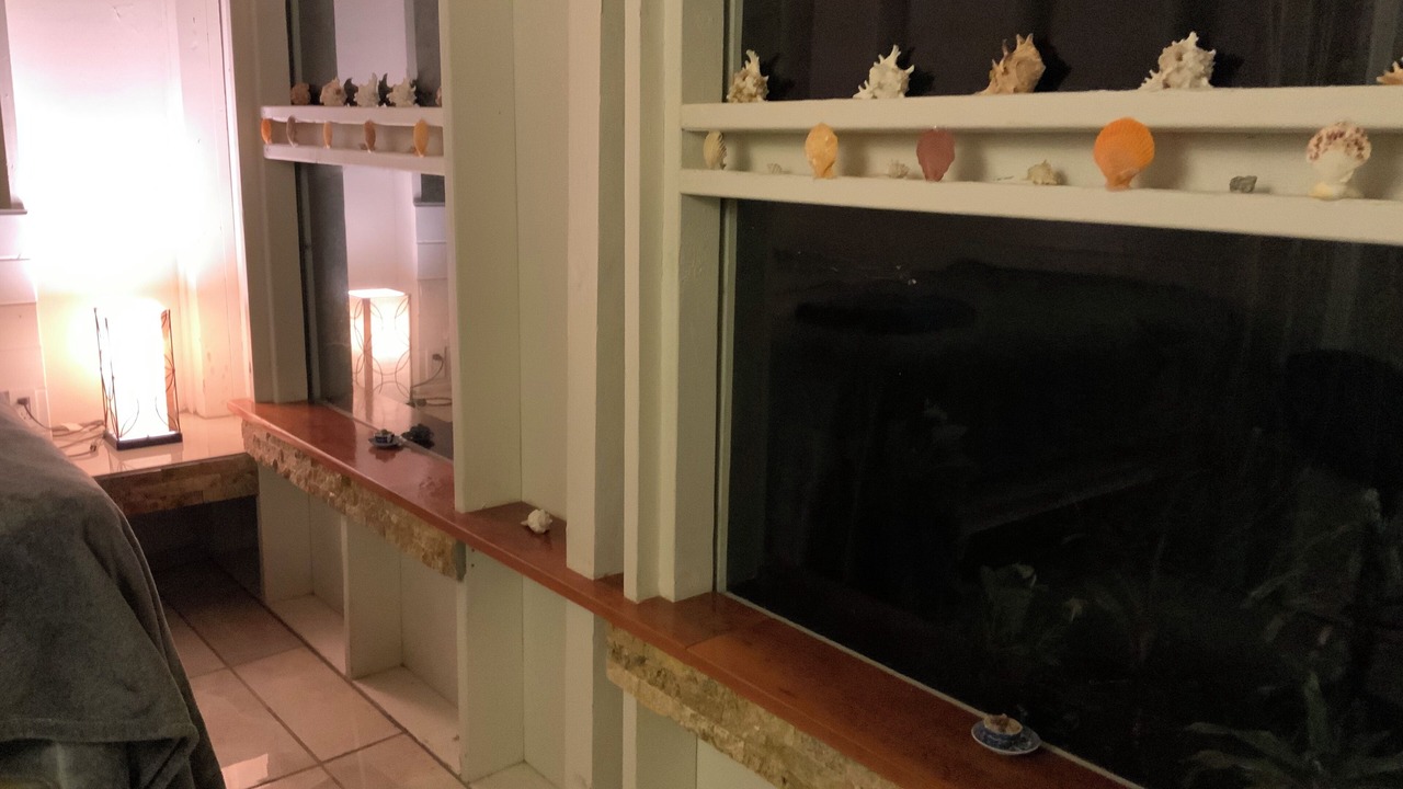 Photo of Others in Mountain View