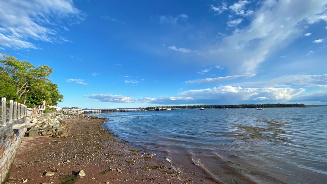 Photo of Others in St. Andrews