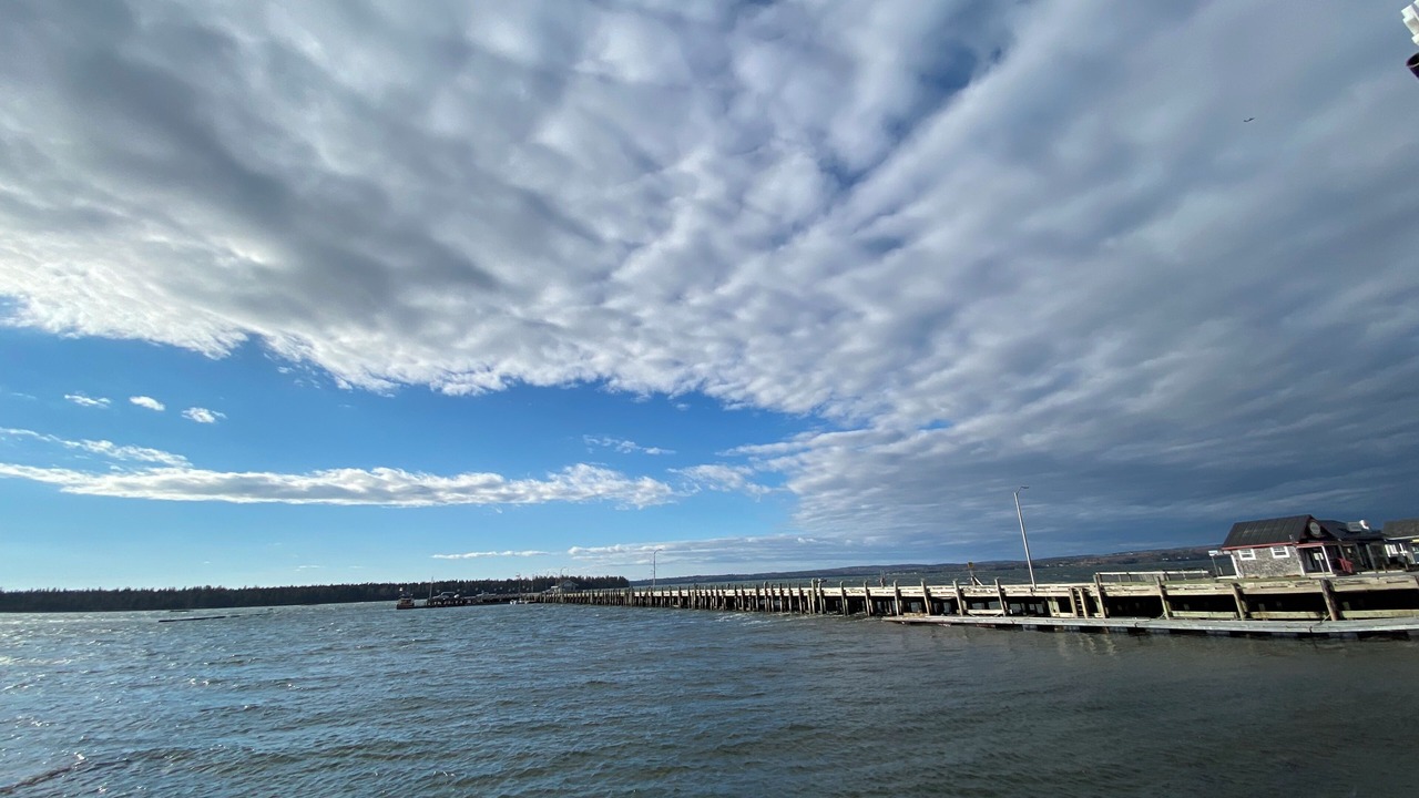 Photo of Others in St. Andrews