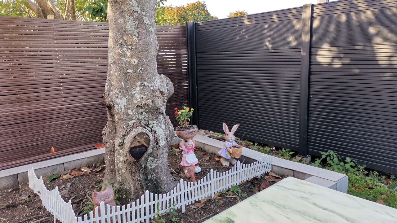 Photo of Outdoor in Hamilton