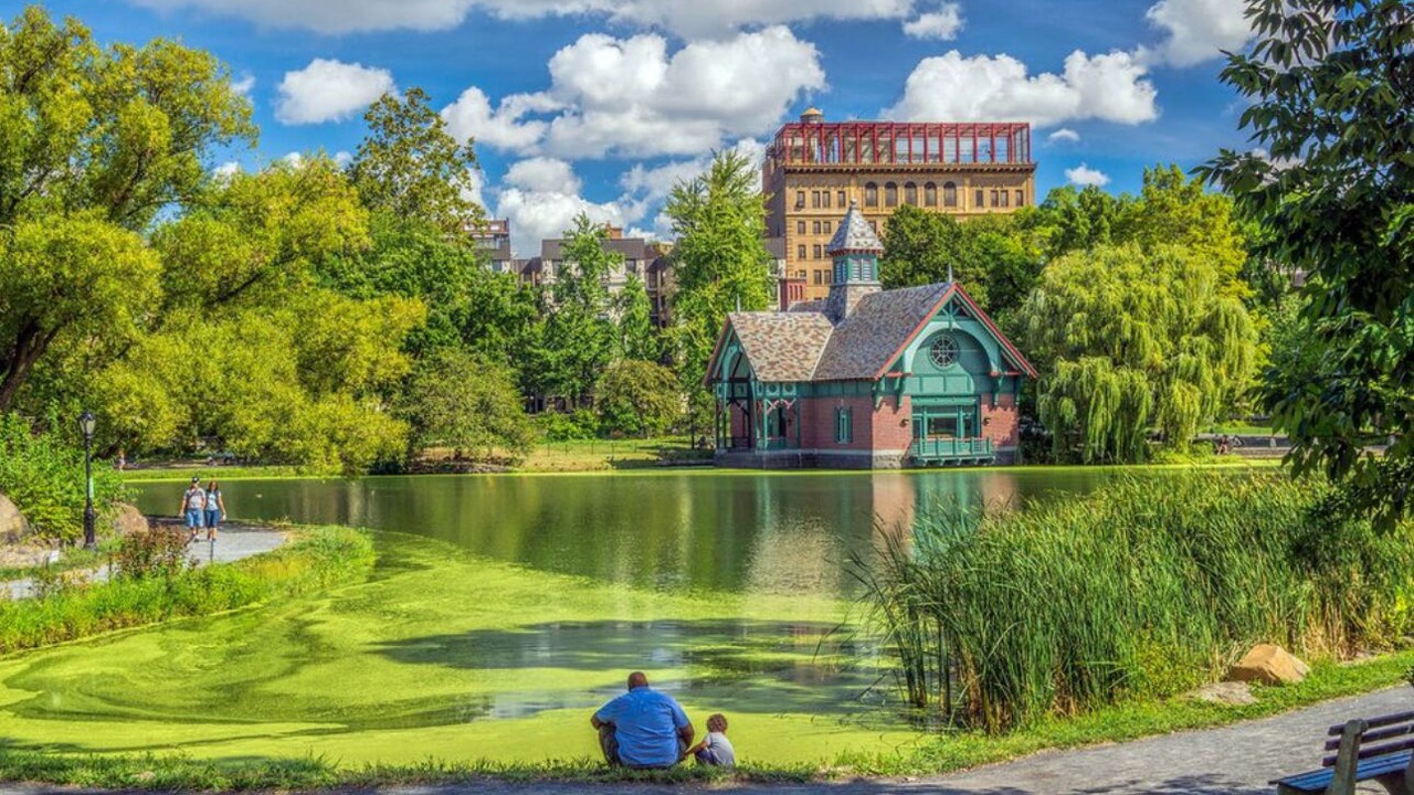 Photo of Others in Central Park North