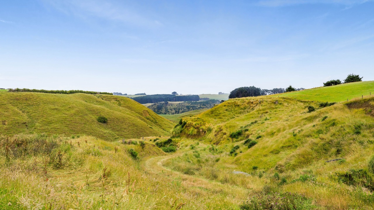 Photo of Others in Ohangai