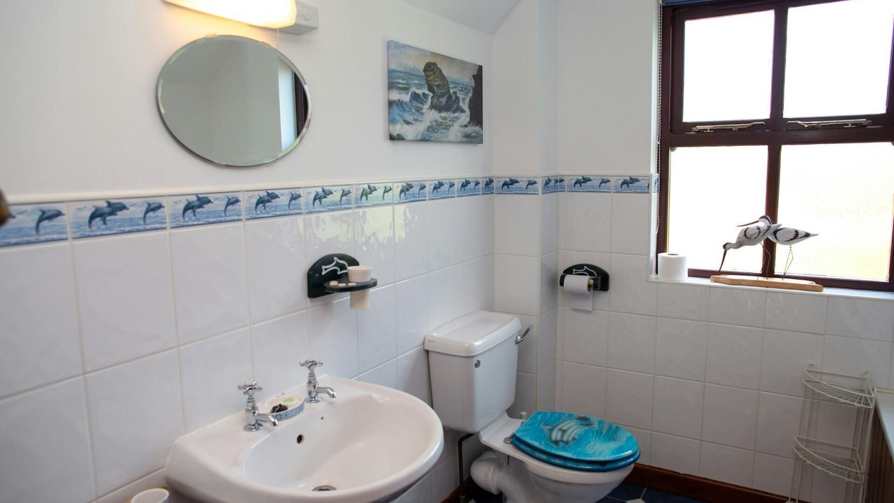 Photo of Bathroom in Llanllwchaiarn