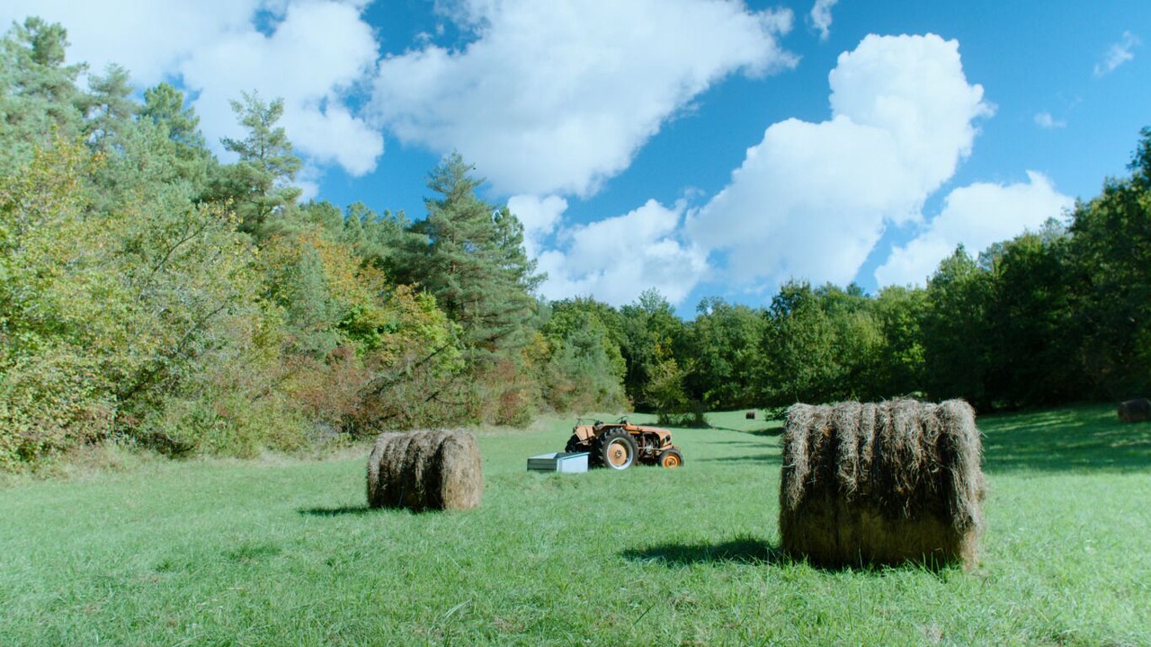Photo of Others in Saint-Astier