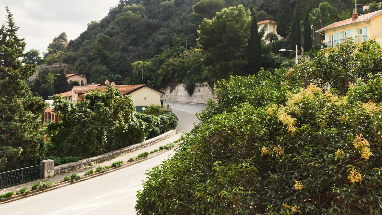 Photo of Others in Eze