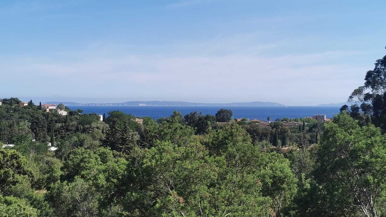 Photo of Others in Cavaliere