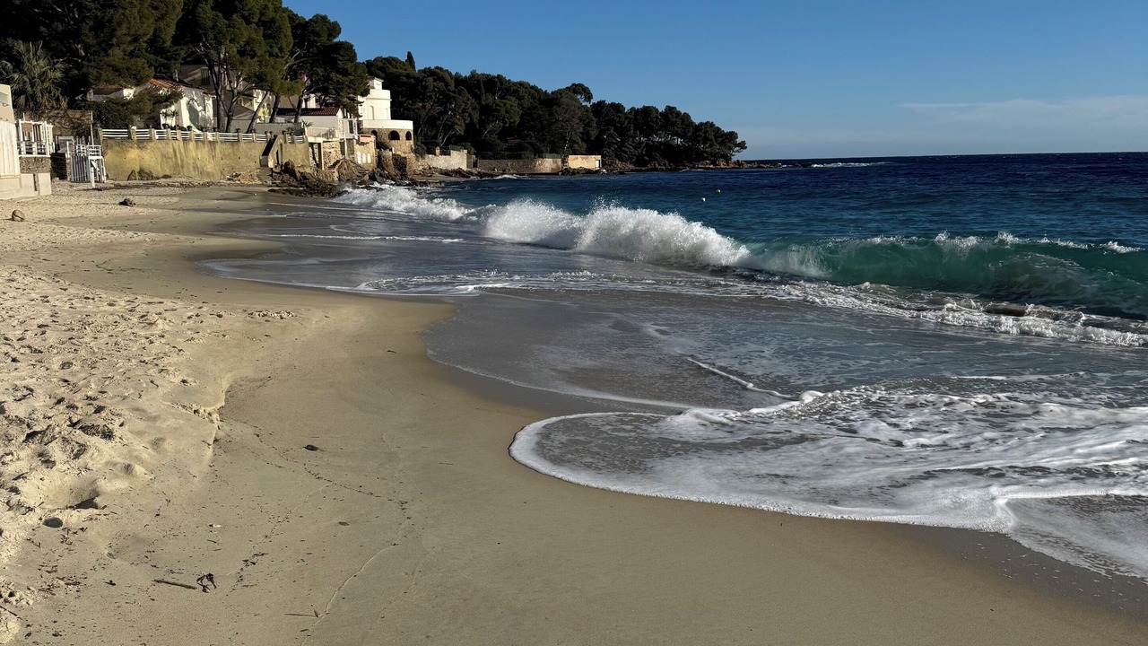 Photo of Others in Cavaliere