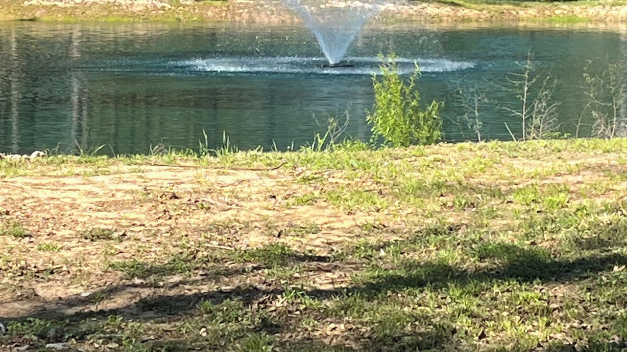 Photo of Others in Montgomery