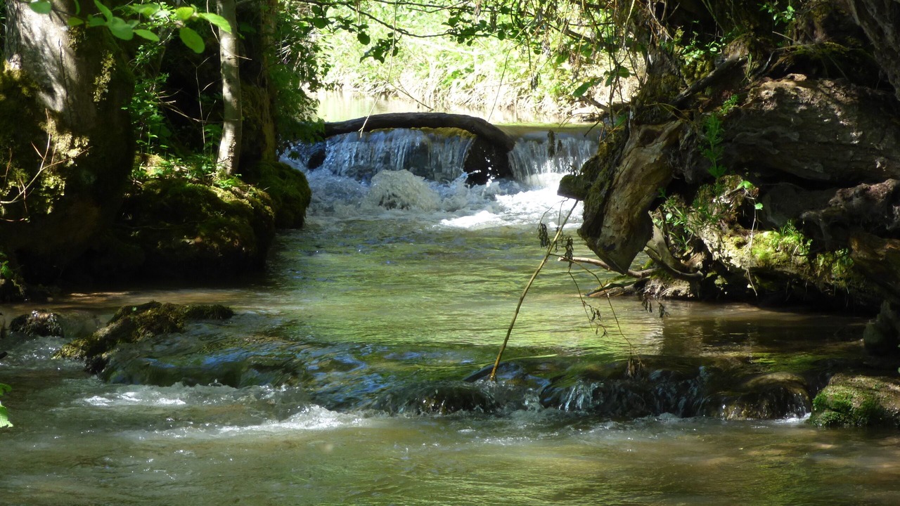 Photo of Others in Nouart