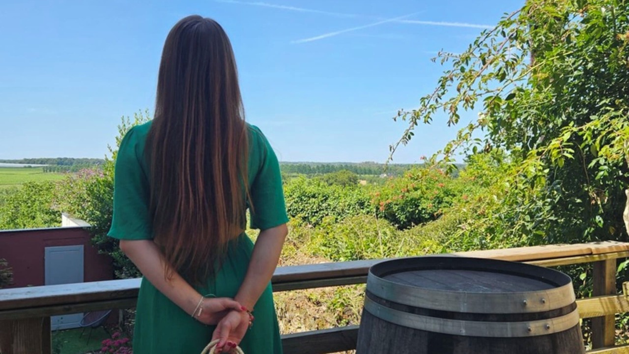 Photo of Outdoor in Brissac-Quince