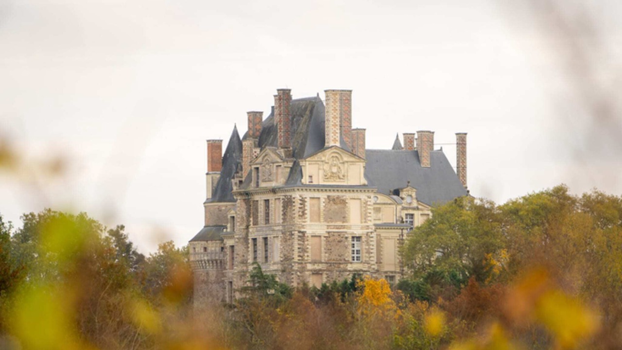 Photo of Others in Brissac-Quince