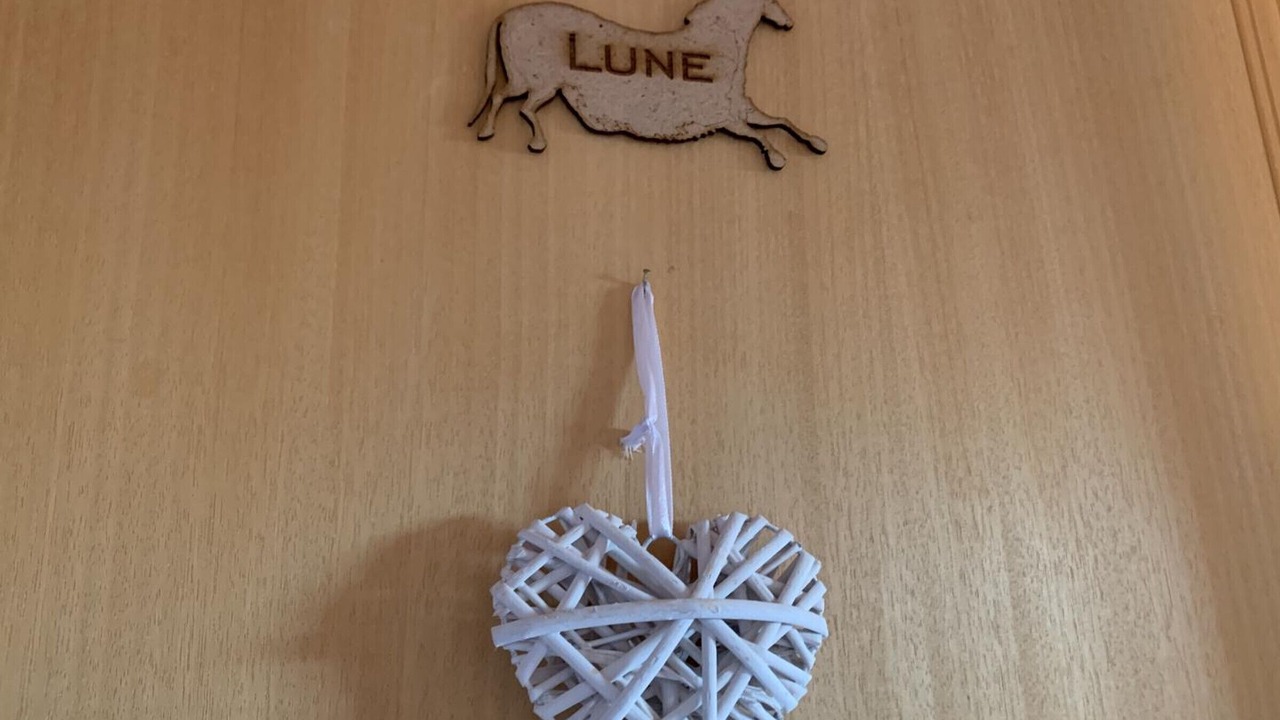 Photo of Others in Plazac