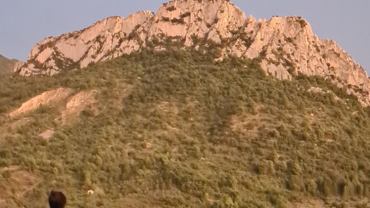 Photo of Others in Buis-les-Baronnies