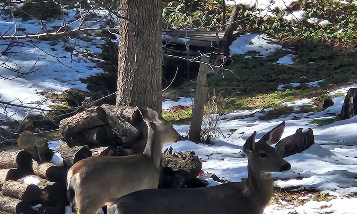 Photo of Others in Oakhurst