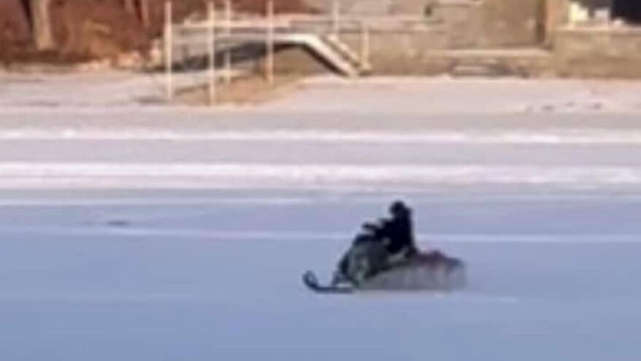 Photo of Others in East Wakefield