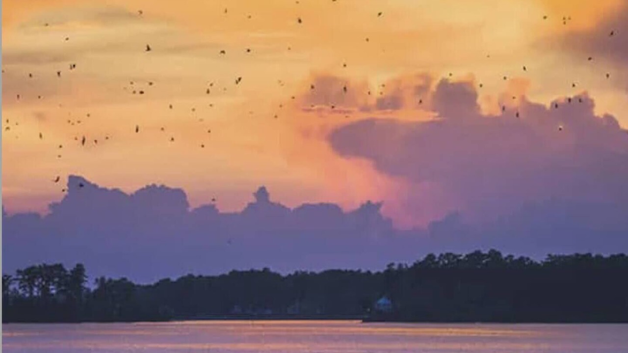 Photo of Others in Lake Murray of Richland
