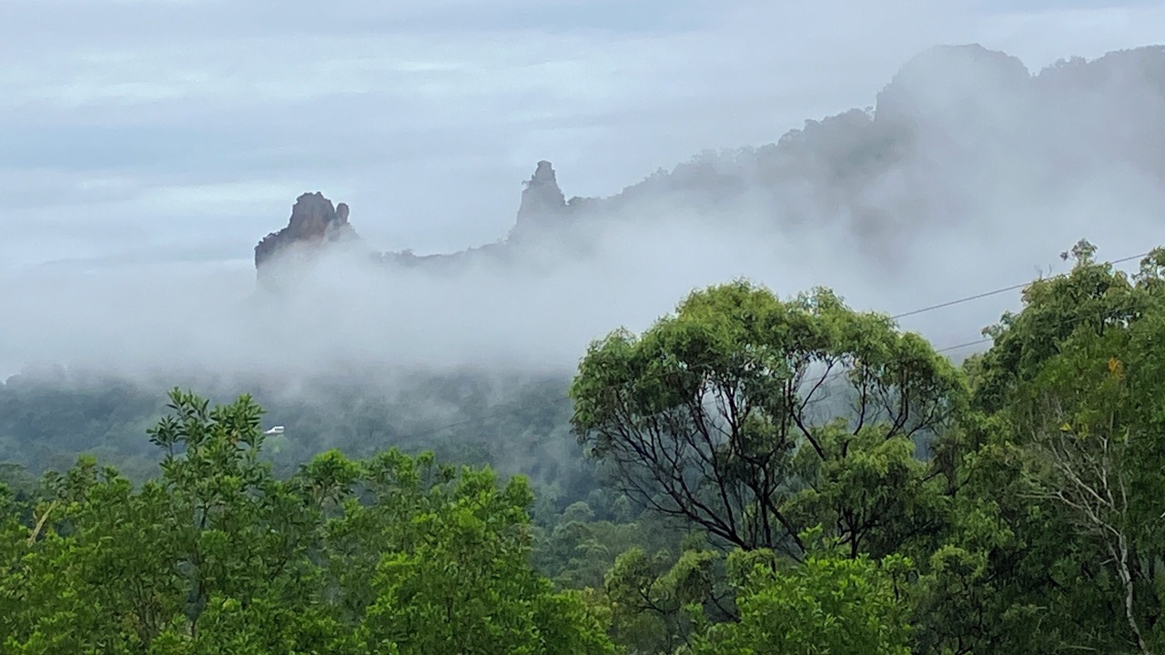 Photo of Others in Nimbin