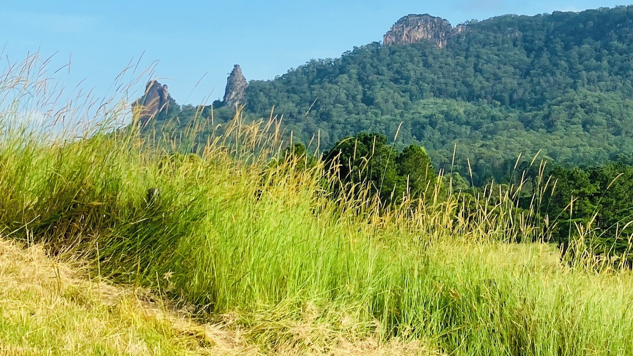 Photo of Others in Nimbin