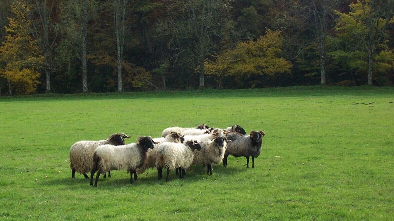 Photo of Others in Eguaras