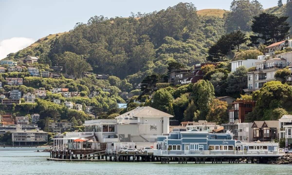 Photo of Others in Marin City