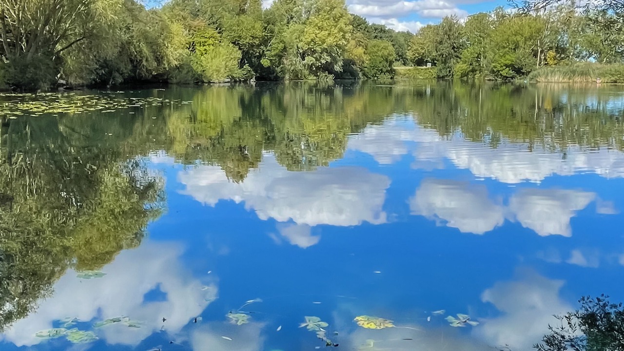 Photo of Others in Driffield