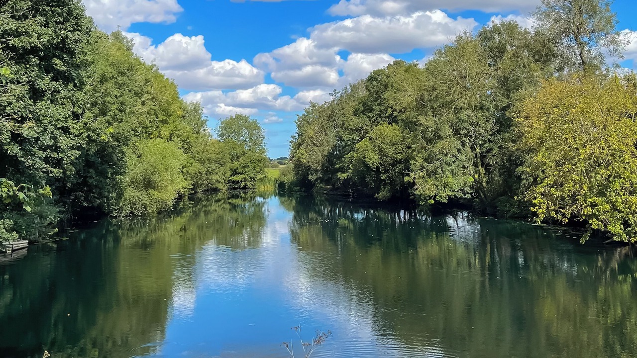 Photo of Others in Driffield