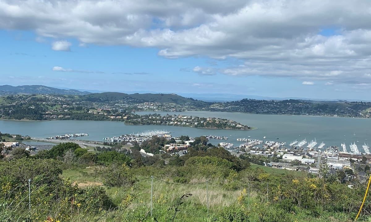 Photo of Others in Mill Valley