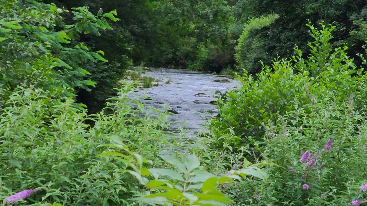Photo of Outdoor in Chateau-Verdun
