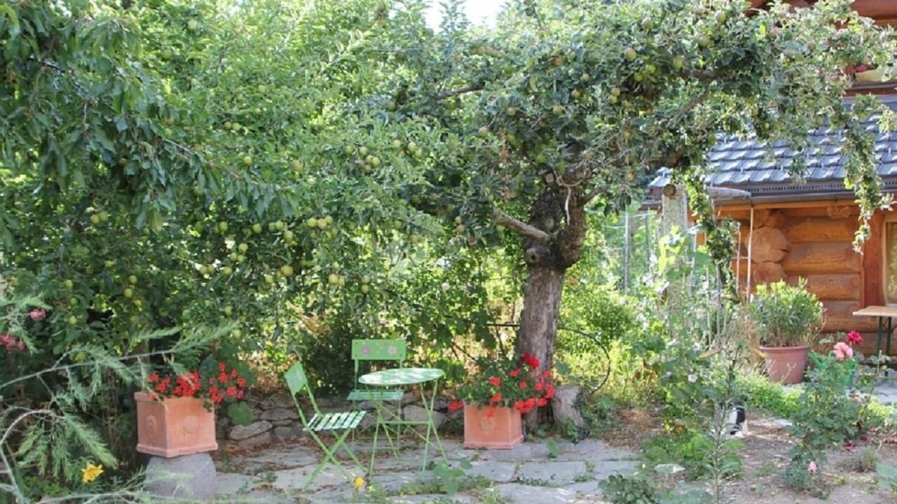 Photo of Outdoor in Chalais